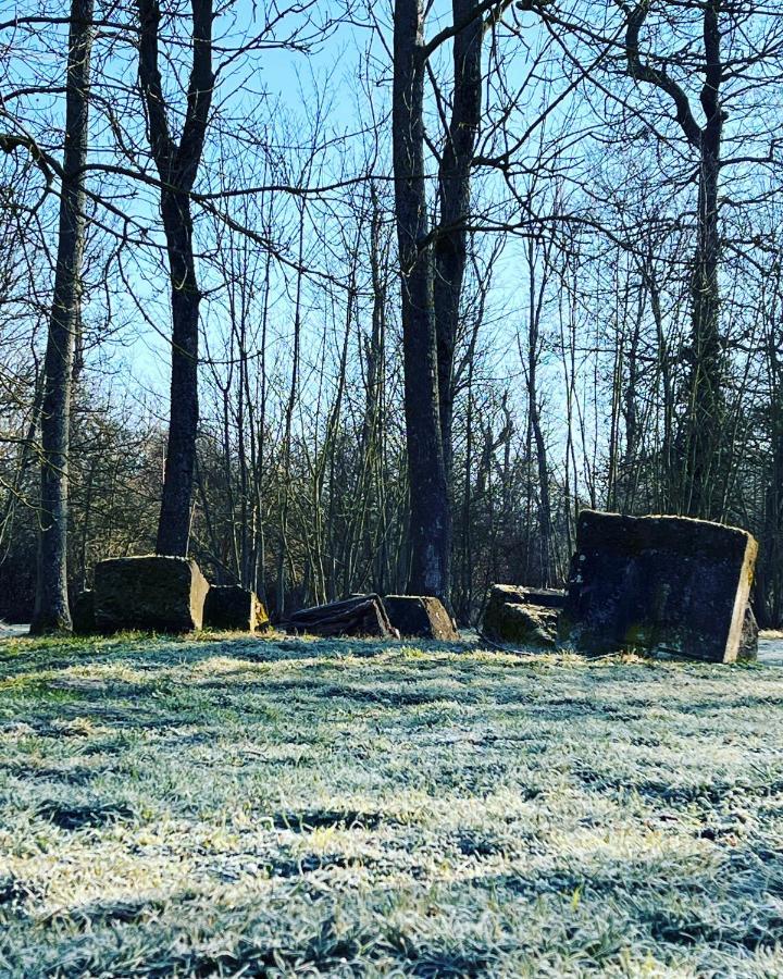 Dans Un Cadre Exceptionnel, Ferme Renovee A 17Km De Paris Villa Boissy-Saint-Léger Buitenkant foto